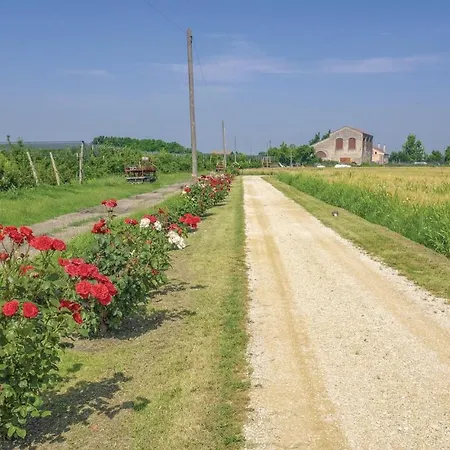 Holiday home Casale Delle Rose Lendinara